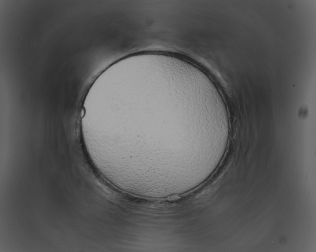X0000089361367200707131606