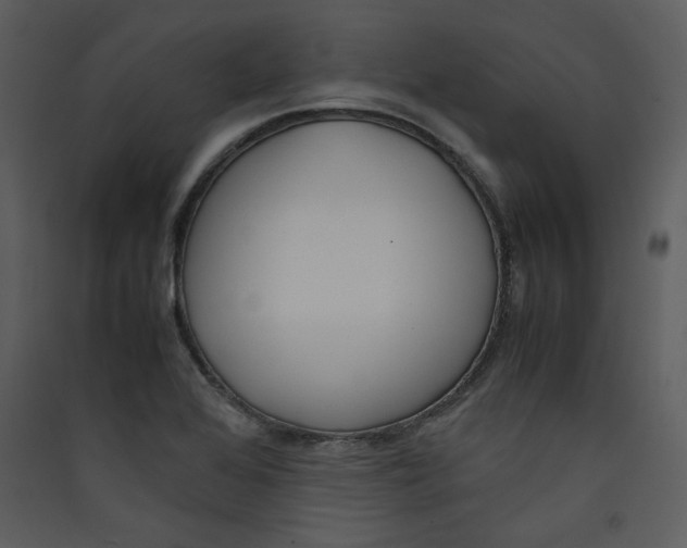 X0000089361368200707131606
