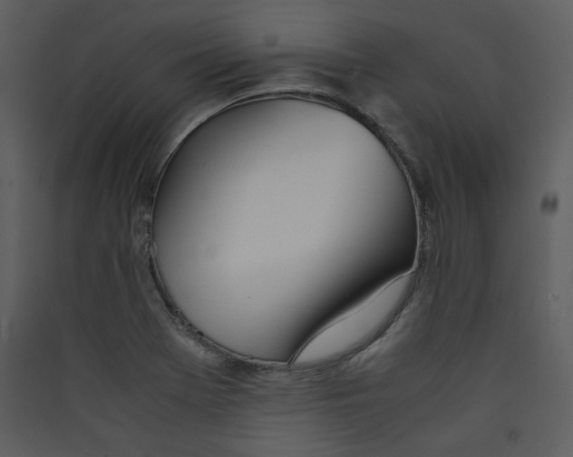 X0000089361369200707131606