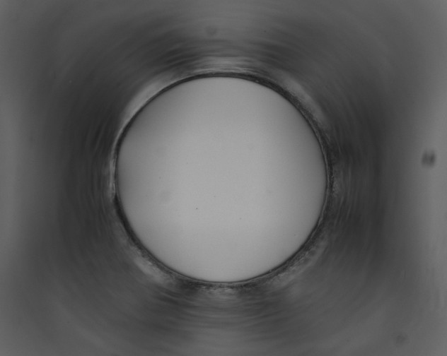 X0000089361370200707131606