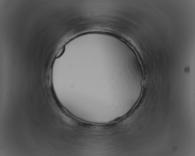 X0000089361371200707131606