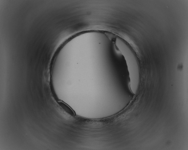 X0000089361372200707131606