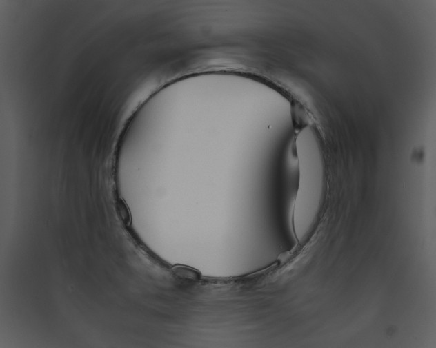X0000089361373200707131606