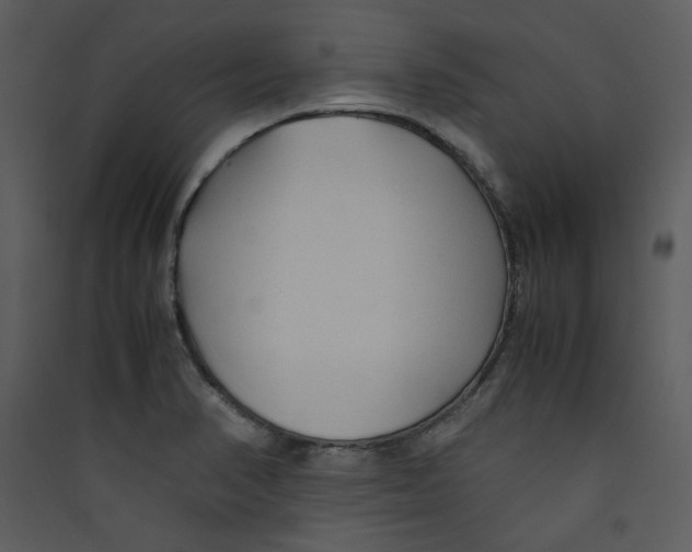 X0000089361374200707131606