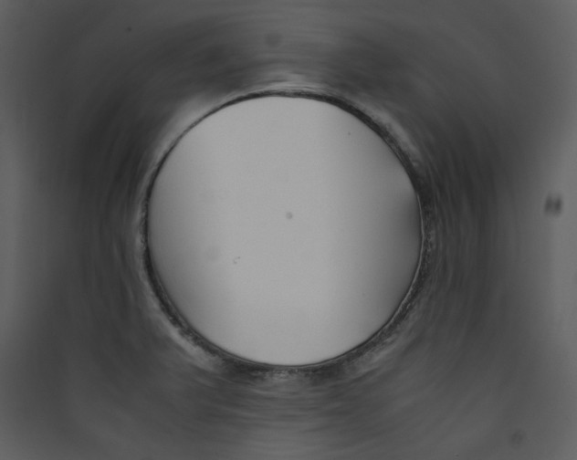 X0000089361375200707131606