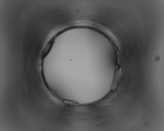 X0000089361376200707131606
