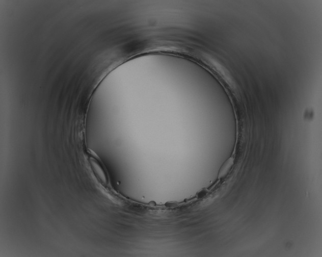 X0000089361377200707131606