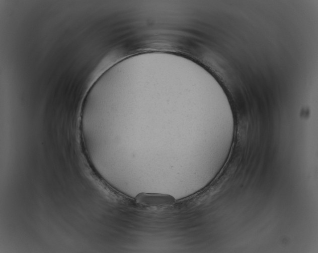X0000089361378200707131606