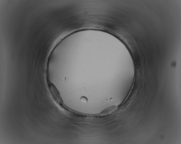 X0000089361379200707131606
