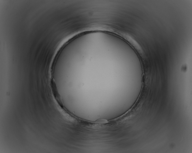 X0000089361380200707131606