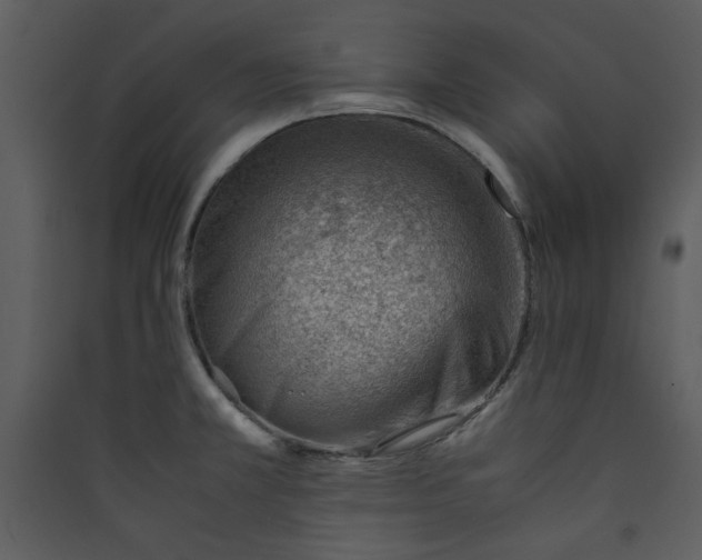 X0000089361381200707131606