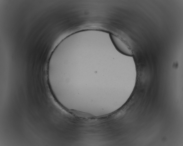 X0000089361382200707131606