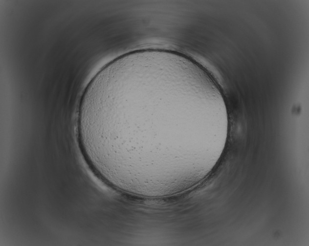 X0000089361383200707131606