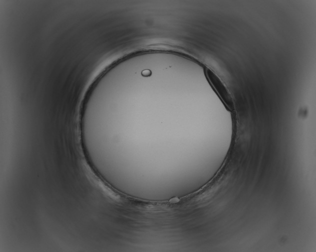 X0000089361384200707131606