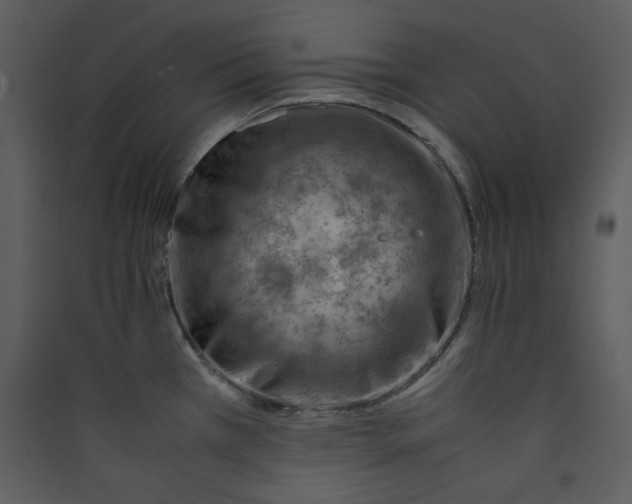 X0000089361385200707131606