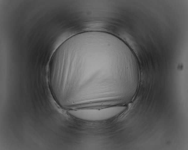 X0000089361386200707131606