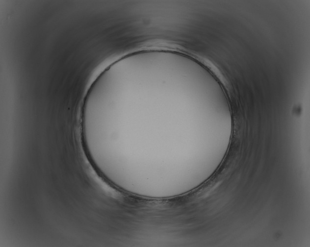 X0000089361387200707131606