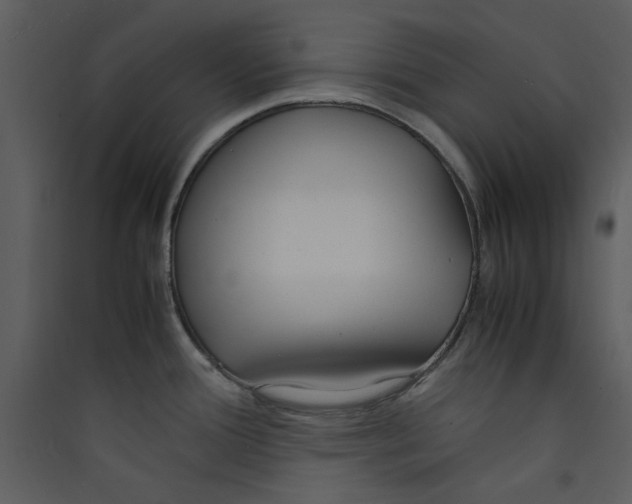 X0000089361388200707131606