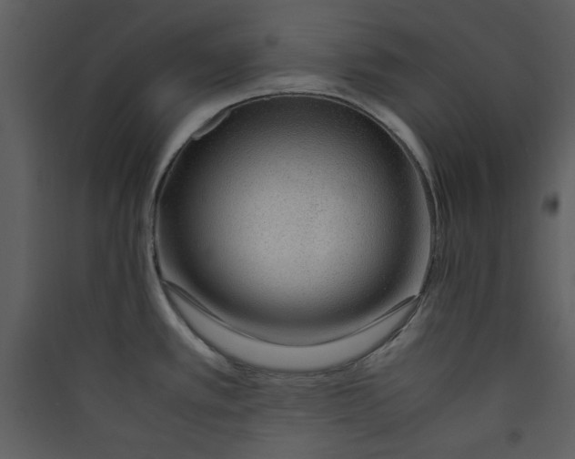 X0000089361389200707131606