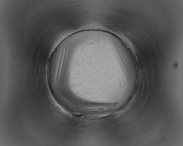 X0000089361390200707131606