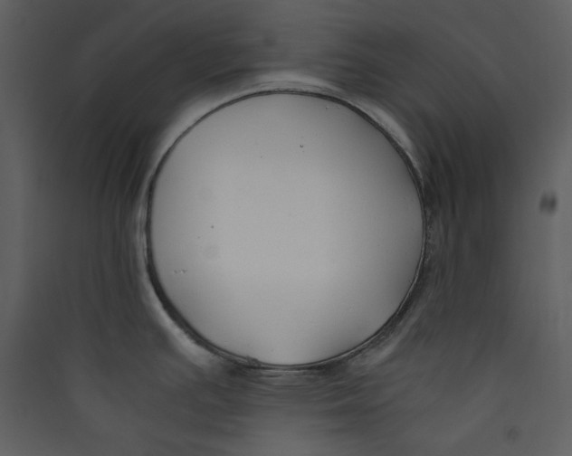 X0000089361391200707131606