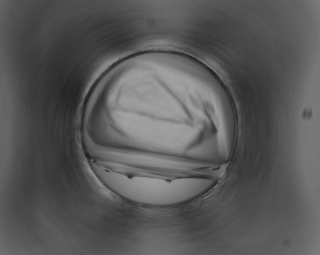 X0000089361392200707131606