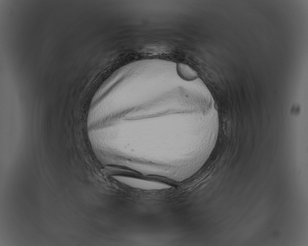X0000089361393200707131605