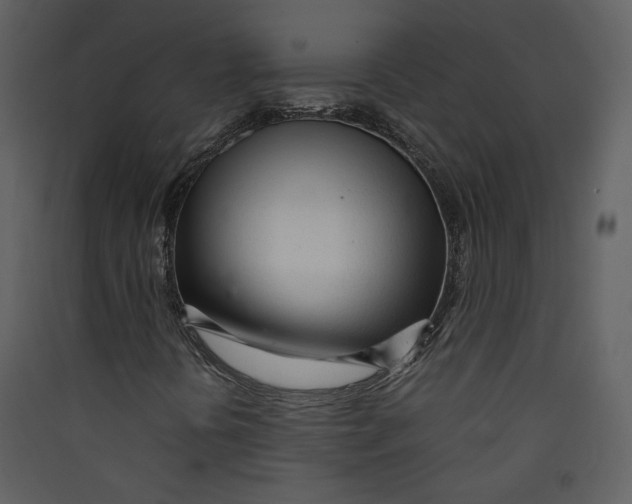 X0000089361394200707131605