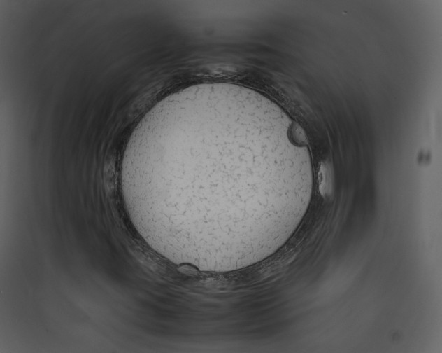 X0000089361395200707131605