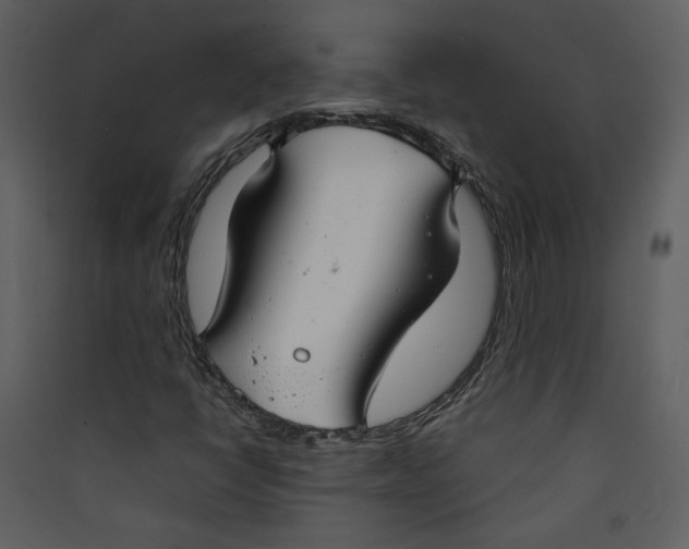 X0000089361398200707131605