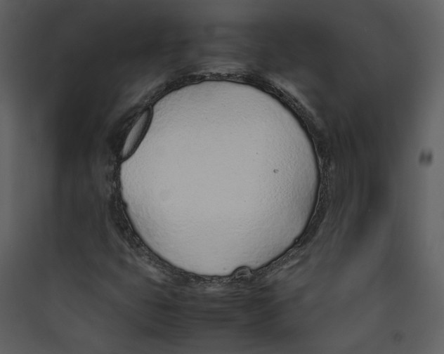 X0000089361399200707131605
