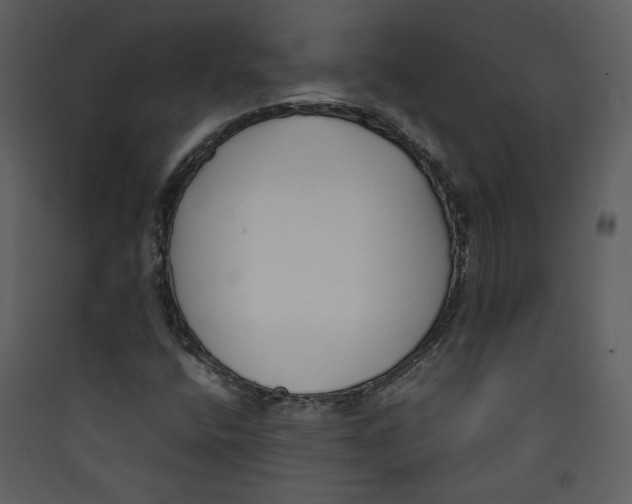 X0000089361400200707131605