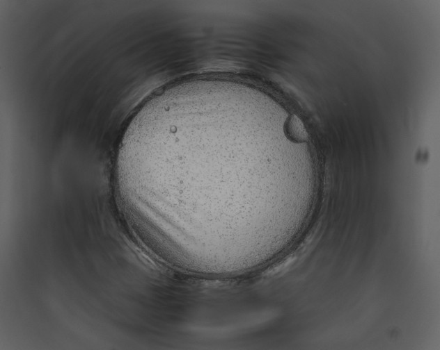 X0000089361401200707131605