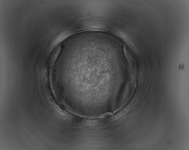 X0000089361402200707131605