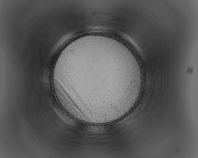 X0000089361403200707131605