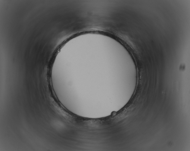 X0000089361404200707131605