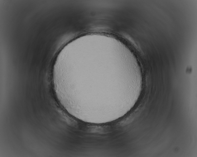 X0000089361405200707131605