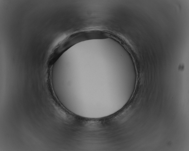 X0000089361406200707131605