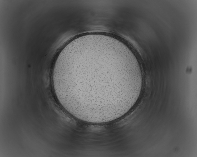 X0000089361407200707131605