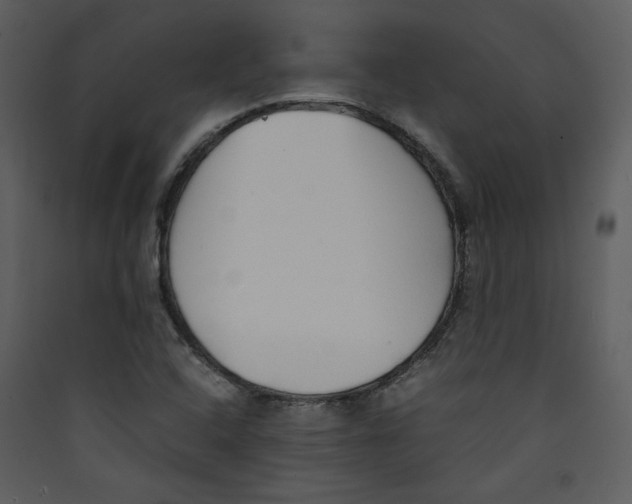 X0000089361408200707131605