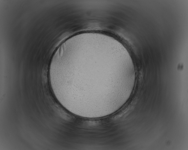 X0000089361409200707131605