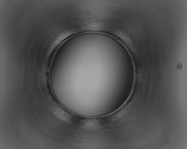 X0000089361410200707131605