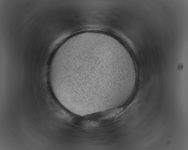 X0000089361411200707131605