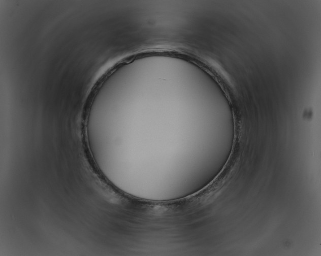 X0000089361412200707131605