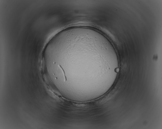 X0000089361413200707131605