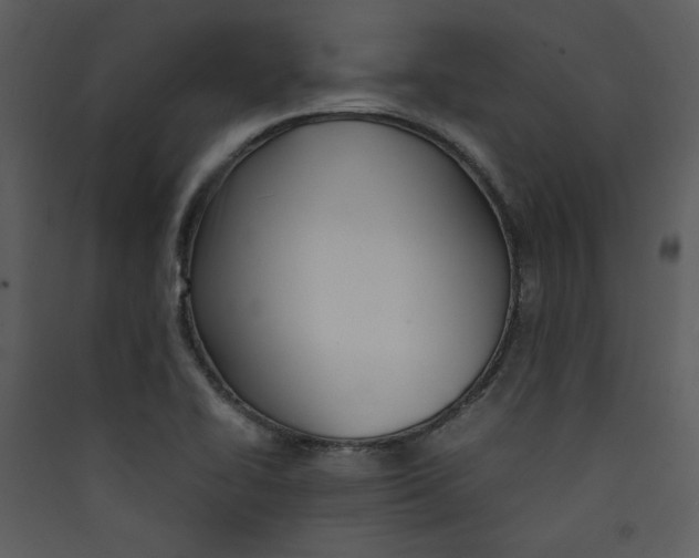 X0000089361414200707131605