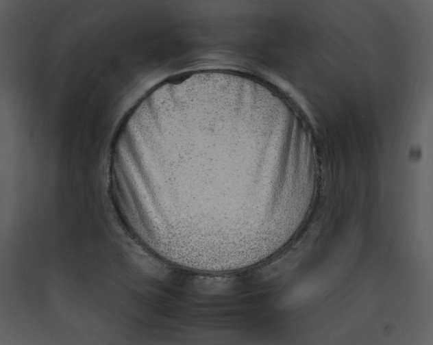 X0000089361415200707131605