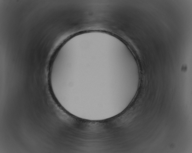 X0000089361416200707131605
