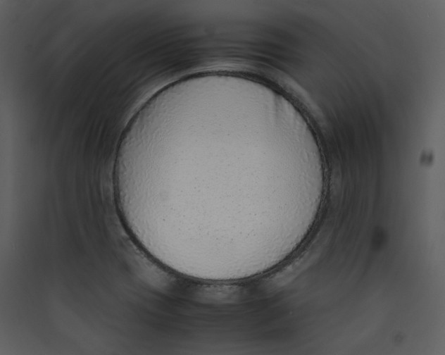 X0000089361417200707131605