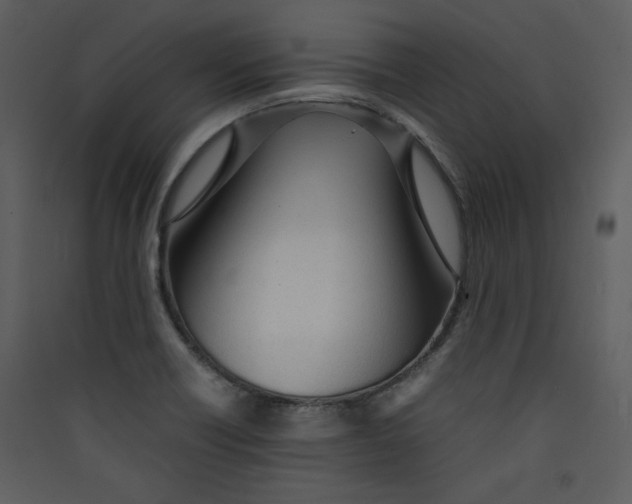 X0000089361418200707131605